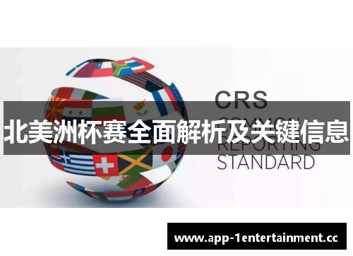 北美洲杯赛全面解析及关键信息