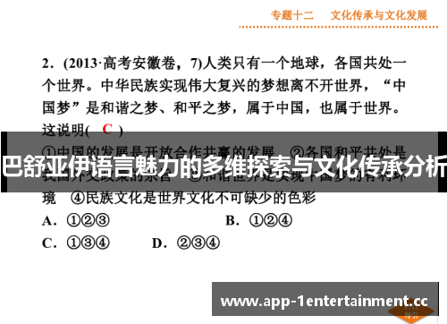 巴舒亚伊语言魅力的多维探索与文化传承分析